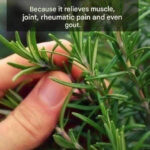 Your Feet Are a “Blood Sugar Meter” – Beware of Diabetes If You Frequently Experience These 12 Symptoms