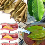 Your Feet Are a “Blood Sugar Meter” – Beware of Diabetes If You Frequently Experience These 12 Symptoms