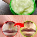 Can You Spot All the Dogs? Test Your Observation Skills!