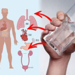 Eggshells, don’t throw them away: soak them in hot water and see what happens