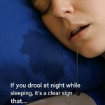 The first animal you see in this picture will reveal who you are.