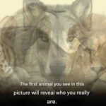 How to Recycle Fruit and Vegetable Containers