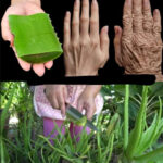 Foods that are beneficial for strengthening muscles in old age