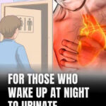 One night stand with my president(chapter 573)