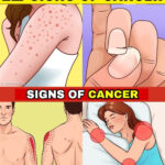 One night stand with my president(chapter 573)