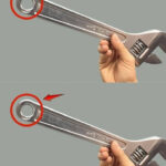 Humans May Soon Regrow Lost Teeth! | The Future of Dentistry