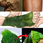 Stuffed Mashed Potato