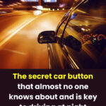 The Silent Signs of Arterial Blockages You Can’t Ignore