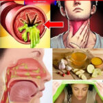 What Your Favorite Ice Cream Flavor Might Say About You