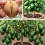 I’m a butcher: here’s the number one tip I always give for freezing meat