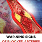 My aunt really knew her stuff!