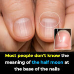 The seed that emptied the hospitals because it cures cancer, diabetes, high blood pressure and poor circulation.