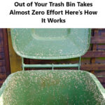 The Secret of a 97-Year-Old Orthopedic Doctor: The Natural Food That Regenerates Your Joints in 24 Hours