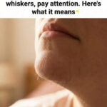 How to Remove Set-In Grease Stains from Laundry