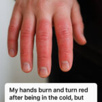 Cremation and Faith: What Scripture Teaches and Where True Hope Is Found