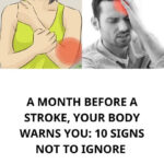 Most People Fail This Test — Can You Find All the Faces in the Picture?