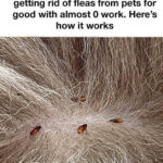 7 Habits That Make You Look Ugly (Without You Realizing It)