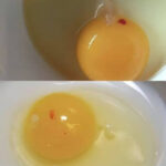 Why Do the Veins on Your Forehead Become Visible?