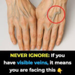 How to Grow Blueberries Indoors and Impress Everyone with Your Harvest