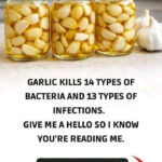 How to Grow Blueberries Indoors and Impress Everyone with Your Harvest