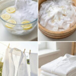 The 6-Egg Riddle — Answer Revealed