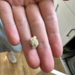 Eggshells: sow them into plants immediately, you’ve never had a vegetable garden like this before. The gardener recommends it!