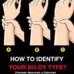 Why Your Veins Look More Visible at Night