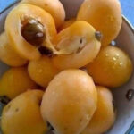 Your Blood Type Isn’t Just a Label – 5 Hidden Clues About Your Health