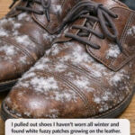 Your Blood Type Isn’t Just a Label – 5 Hidden Clues About Your Health