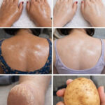 The Tiny Hole on Your Nail Clipper — and Why Small Design Details Matter More Than We Realize